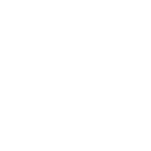 technical support